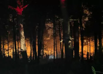 Çekmeköy'de orman yangını