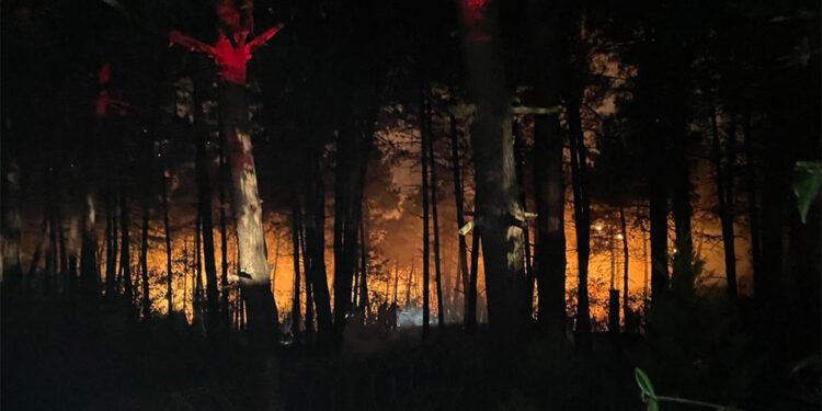 Çekmeköy'de orman yangını