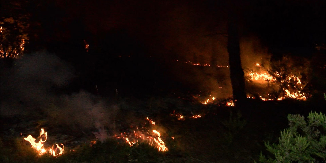 Çekmeköy'de orman yangını