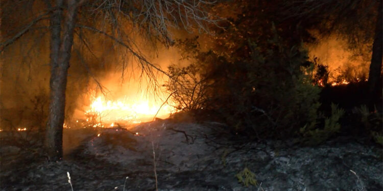 Çekmeköy'de orman yangını