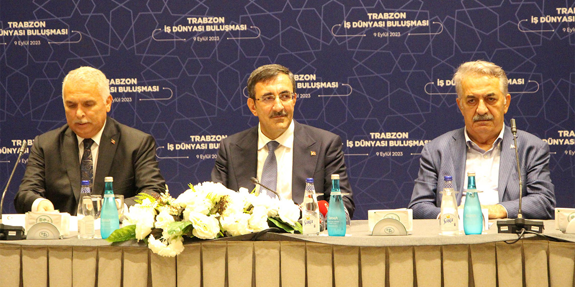 Cumhurbaşkanı Yardımcısı Cevdet Yılmaz, "Aile ve gençlik bankasını kuracağız. Ve aşama aşama bunu etkili bir hale getireceğiz. Gerek doğal gazdan, gerek petrolden, gerekse madenlerden gelen birtakım gelirleri belli bir yüzdesini bu bankamıza aktararak buradan yeni evlenen çiftlere destek olacağız" dedi.