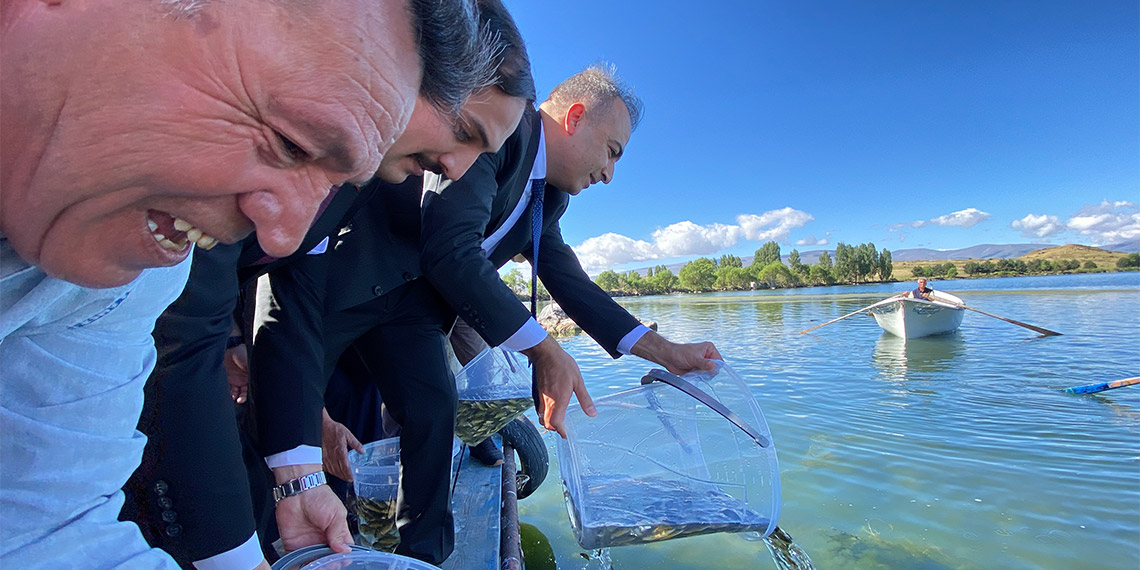 150 bin yavru sazan Çıldır Gölü'ne bırakıldı