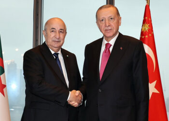 Erdoğan, Cezayir Cumhurbaşkanı Tebbun ile görüştü