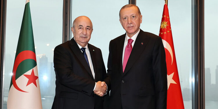 Erdoğan, Cezayir Cumhurbaşkanı Tebbun ile görüştü