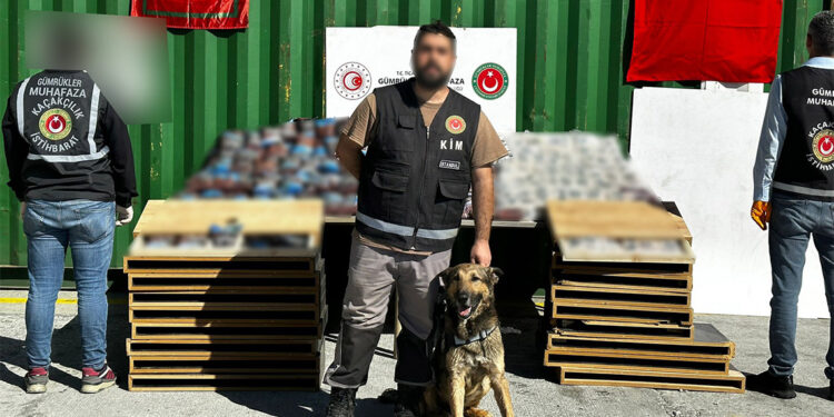 İstanbul'da büyük operasyon; 424 kilo uyuşturucu ele geçirildi