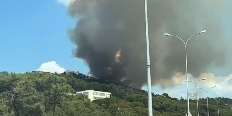Maltepe'de orman yangını çıktı