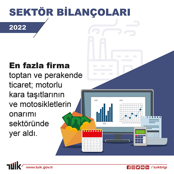 Türkiye İstatistik Kurumu (TÜİK), 2022 yılında en fazla firmanın toptan ve perakende ticaret; motorlu kara taşıtlarının ve motosikletlerin onarımı sektöründe yer aldığını duyurdu.