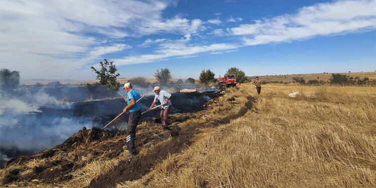 Eskişehir'de ormana sıçrayan anız yangını söndürüldü