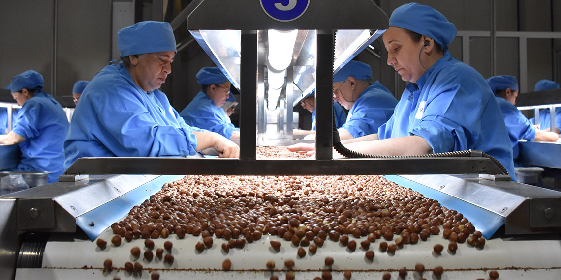 Karadeniz Fındık ve Mamulleri İhracatçıları Birliği (KFMİB) Yönetim Kurulu Başkan Yardımcısı Dursun Oğuz Gürsoy, 1-17 Eylül arasında 11 bin 114 ton iç fındık ihracatı gerçekleştirildiğini belirterek, “2023-2024 ihracat sezonunda 275 ile 280 bin ton civarında iç fındık ihracatı gerçekleştirmeyi hedefliyoruz” dedi.