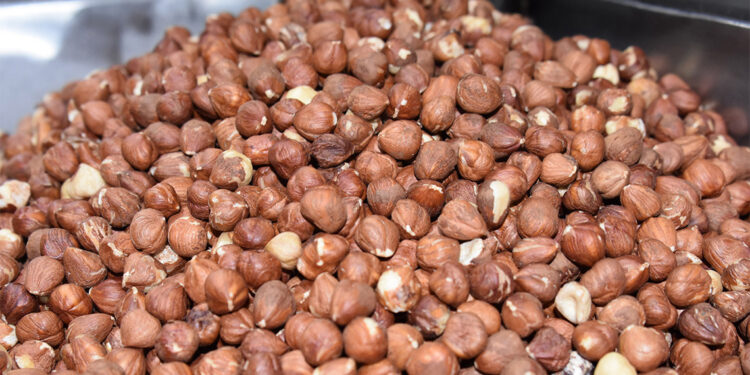 11 bin 114 ton iç fındık ihracatı gerçekleştirildi