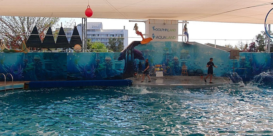 Waterhill Park'ta bir yunus bir fok öldü