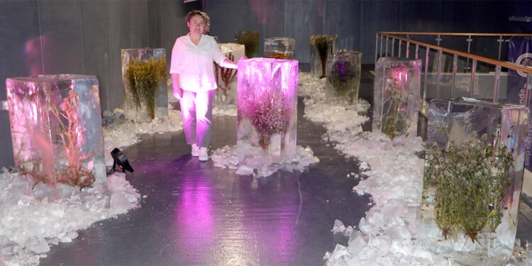 İklim krizine dikkat çekmek için bitkileri dondurdu