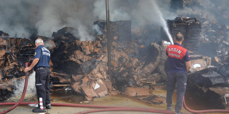 İncir işletmesinde çıkan yangın söndürüldü