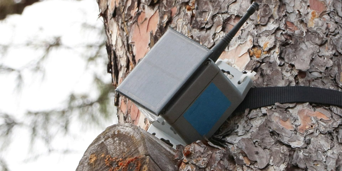 İstanbul'da orman yangınlarına karşı Türk mühendisler tarafından geliştirilen, yerli erken tespit sistemi ‘Kozalak’ Heybeliada’da uygulanmaya başladı.