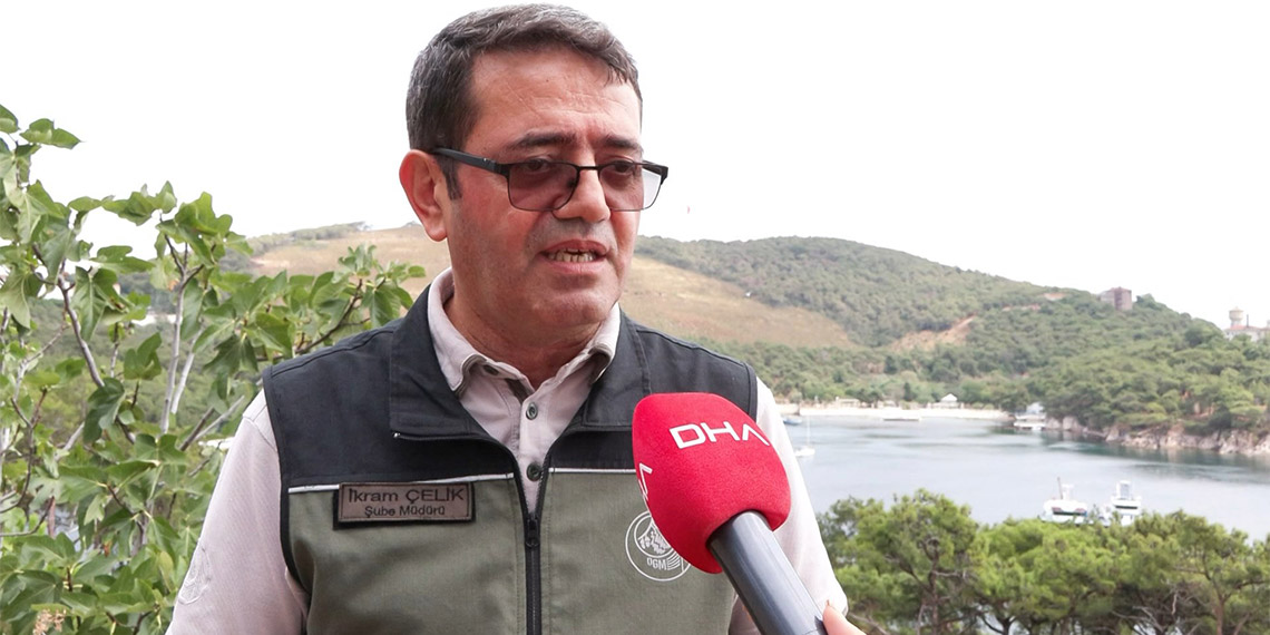 İstanbul'da orman yangınlarına karşı ‘Kozalak’ önlemi