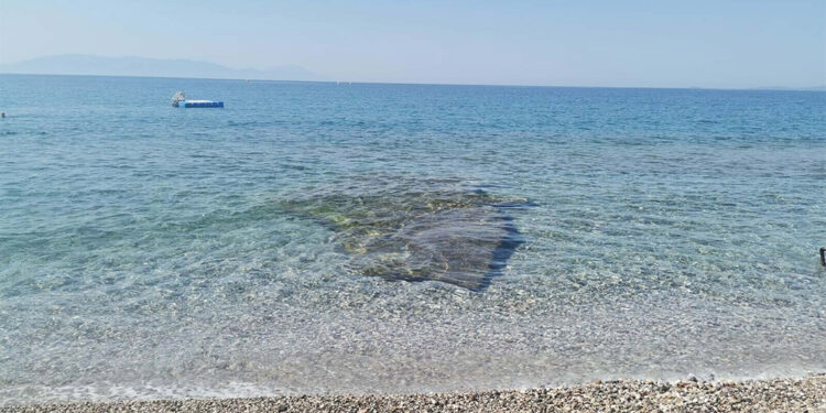 Kaya parçası denize girenler için tehlike yaratıyor