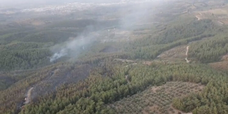 Buca ve Torbalı'daki orman yangınları söndürülemedi