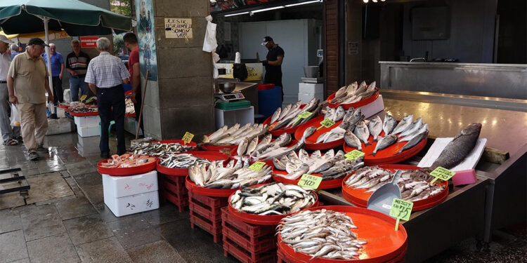 Karadeniz'de endüstriyel avcılık için uygun ortam oluşmadı