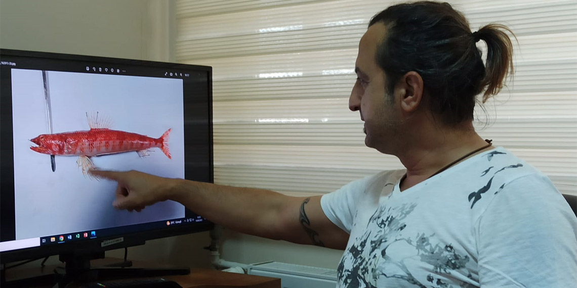 'Synodus Randalli' Akdeniz'de ilk kez görüldü