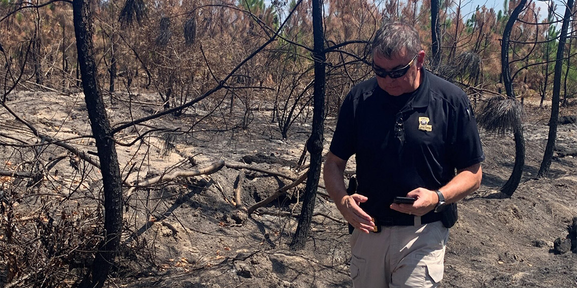 Louisiana'da orman yangınlarının çıkış nedeni belli oldu