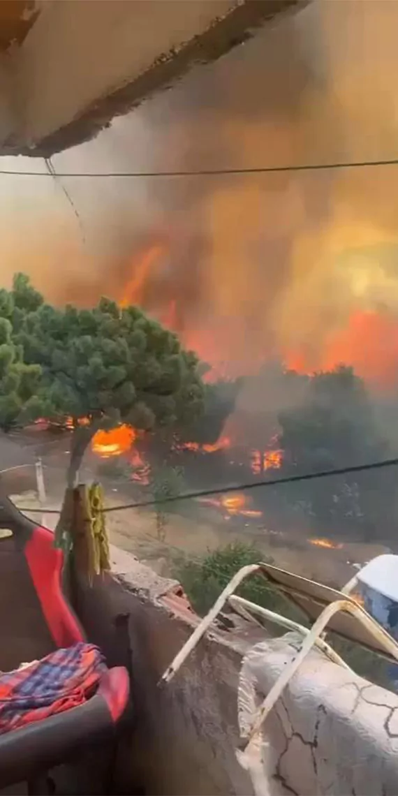 Maltepe'de orman yangını çıktı