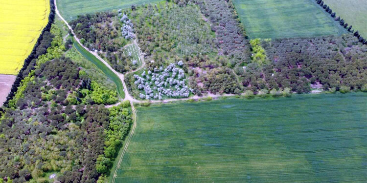 Mera ve tarla kavgalarına son verecek proje