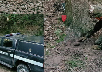 2'nci Dünya Savaşı'ndan kalma 1300 mühimmat ele geçirildi