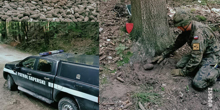 2'nci Dünya Savaşı'ndan kalma 1300 mühimmat ele geçirildi