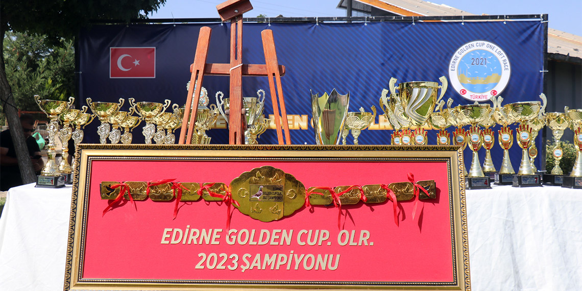 Edirne'de bu yıl 3'üncüsü gerçekleştirilen Uluslararası Edirne Golden Cup Posta Güvercini Yarışması'nın 6'ncı ve final etabı, Bolu'nun Gerede ilçesinden salınan kuşların Edirne'ye ulaşmasıyla sona erdi.