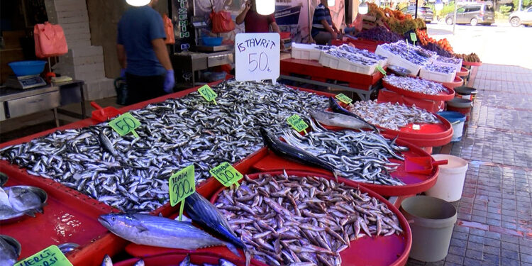 Rize'de hamsi bollaştı; fiyatı 50 TL'ye düştü