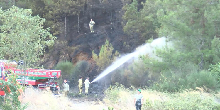Sarıyer'de ormanlık alandaki yangın söndürüldü