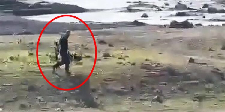 Göç yolundaki leylekleri silahla vurdular