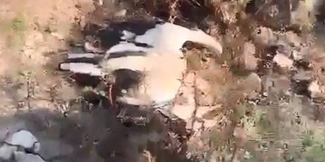 Göç yolundaki leylekleri silahla vurdular