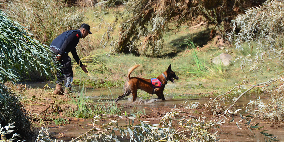 Aksaray'da geçen pazar günü selde kaybolan Asel bebeği arama çalışmaları, 4’üncü günde 250 kişilik ekip ve 6 kadavra köpeğiyle sürdürülüyor.