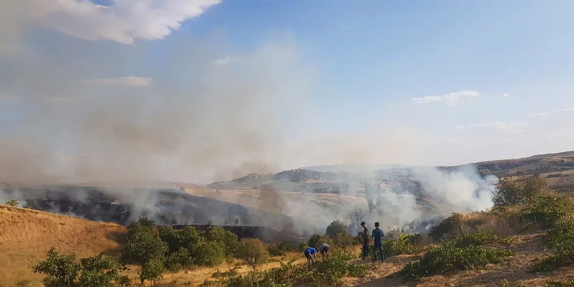 Siirtte cikan yanginda 20 donum fistik ve uzum bagi zarar gordu 8199 dhaphoto1 - yaşam - haberton