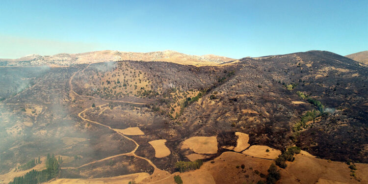 Sivas'ta otluk ve ağaçlık alanda çıkan yangına müdahale sürüyor