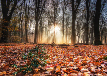 Memleketimde sonbahar..