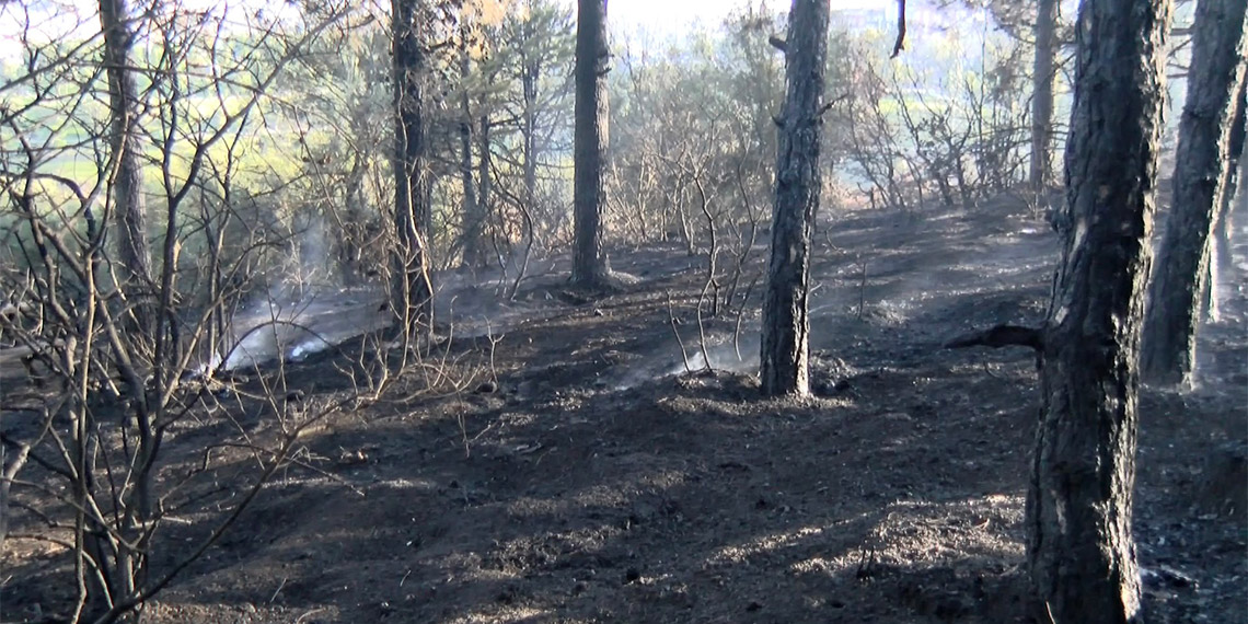 Sultangazi Şehir Ormanlarındaki yangın söndürüldü