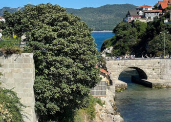 Tarihi Amasra Kalesi'nde bitki ve ağaç temizliği