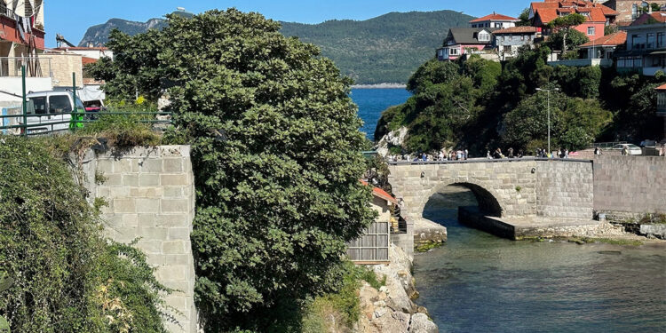 Tarihi Amasra Kalesi'nde bitki ve ağaç temizliği