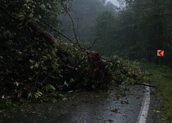 Trabzon'da heyelan nedeniyle yol ulaşıma kapandı
