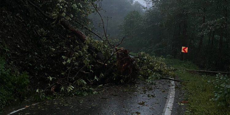 Trabzon'da heyelan nedeniyle yol ulaşıma kapandı