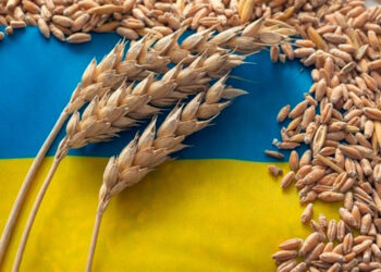 Ukrayna, Slovakya, Polonya ve Macaristan'a karşı dava açtı