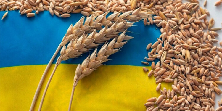 Ukrayna, Slovakya, Polonya ve Macaristan'a karşı dava açtı