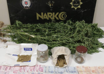 Van'da uyuşturucu operasyonları; 19 gözaltı