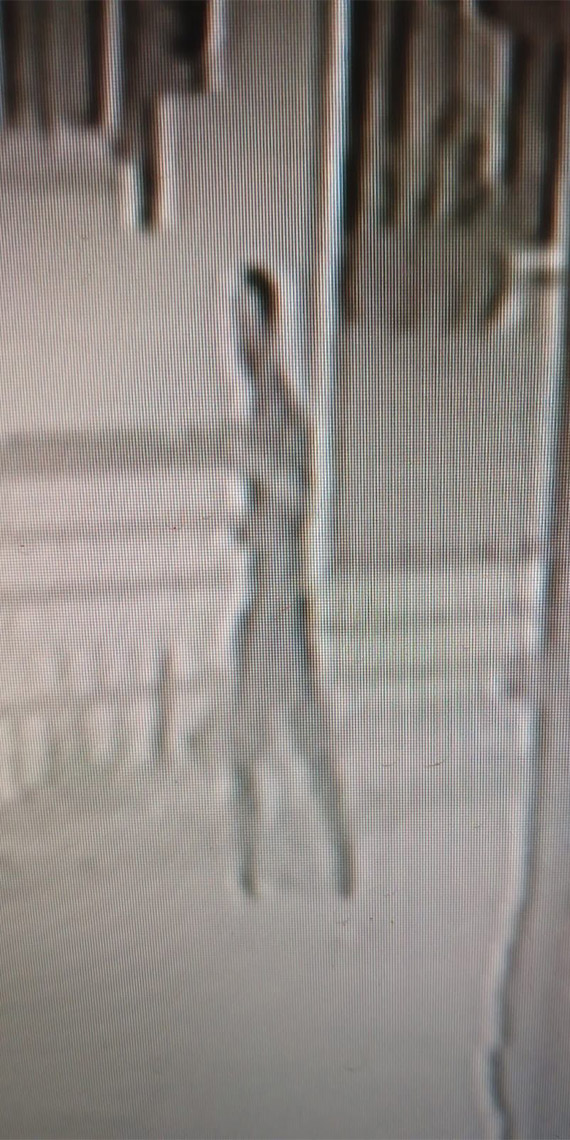 Vesikalık çektirmeye gelen kişinin tacizine uğrayan kadın şikayetçi oldu