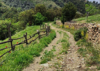 Efeler Yolu, En İyi 100 Hikâye listesinde
