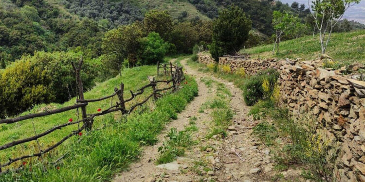 Efeler Yolu, En İyi 100 Hikâye listesinde