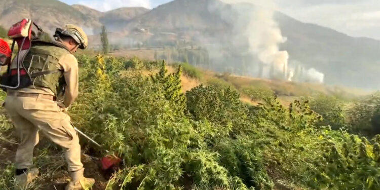 Narkogüç operasyonlarında 13 gözaltı