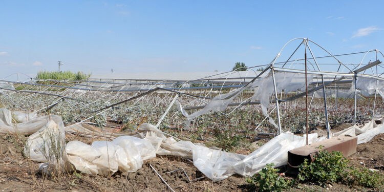 Adana'da şiddetli yağış ve fırtına, gül seralarını vurdu